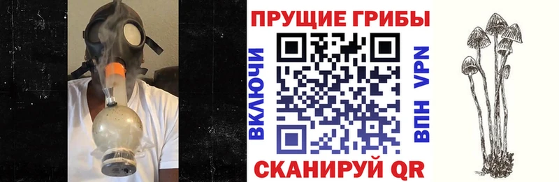 Галлюциногенные грибы Magic Shrooms hydra как зайти Углегорск